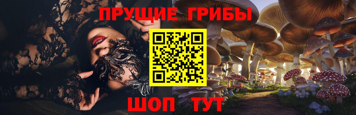 Галлюциногенные грибы мицелий Урюпинск